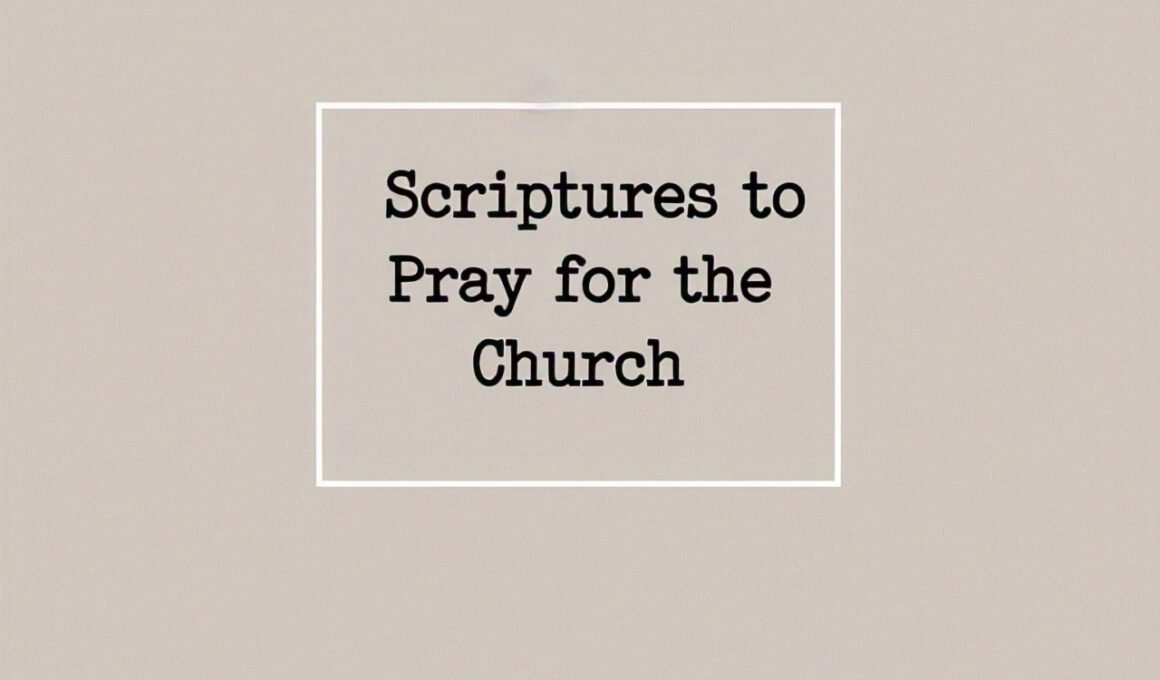 30 Empowering Scriptures to Pray for the Church 2026