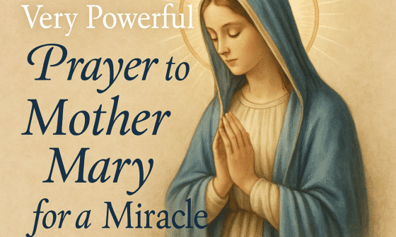40 Very Powerful Prayer to Mother Mary for a Miracle 2026